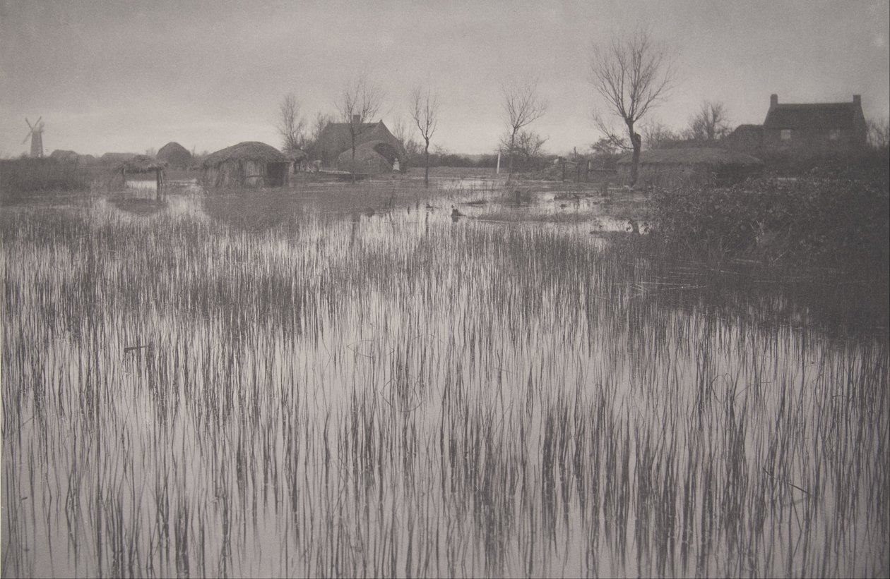 A Rushy Shore, plate XXXV from Life and Landscape on the Norfolk Broads av Peter Henry Emerson