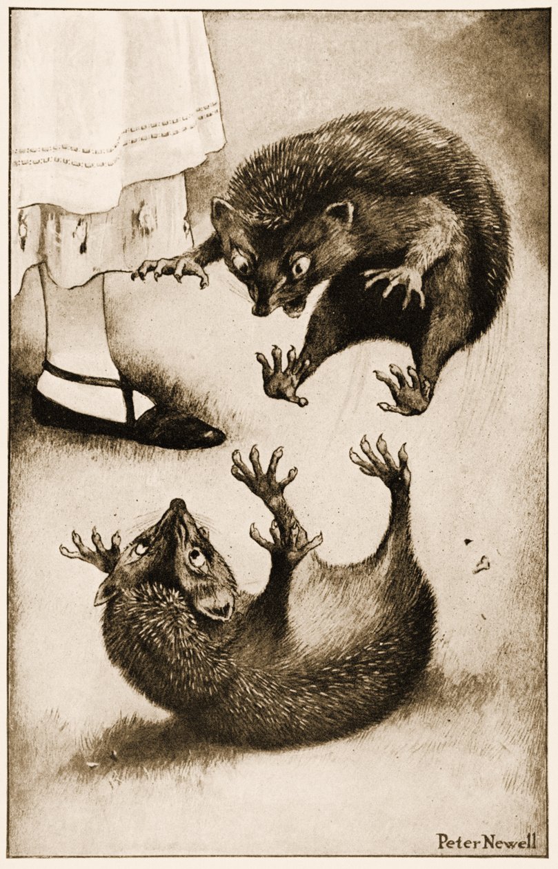 "Igelkotten var engagerad i ett slagsmål med en annan igelkott", illustration för Lewis Carrolls Alice