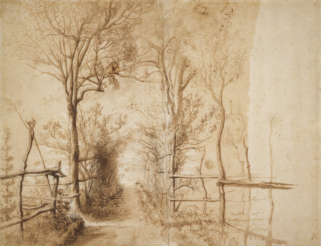 A Path bordered by Trees (färgkrita, bläck och tvätt på papper) av Peter Paul Rubens