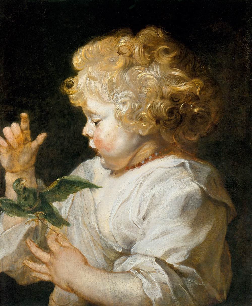 Boy with Bird av Peter Paul Rubens