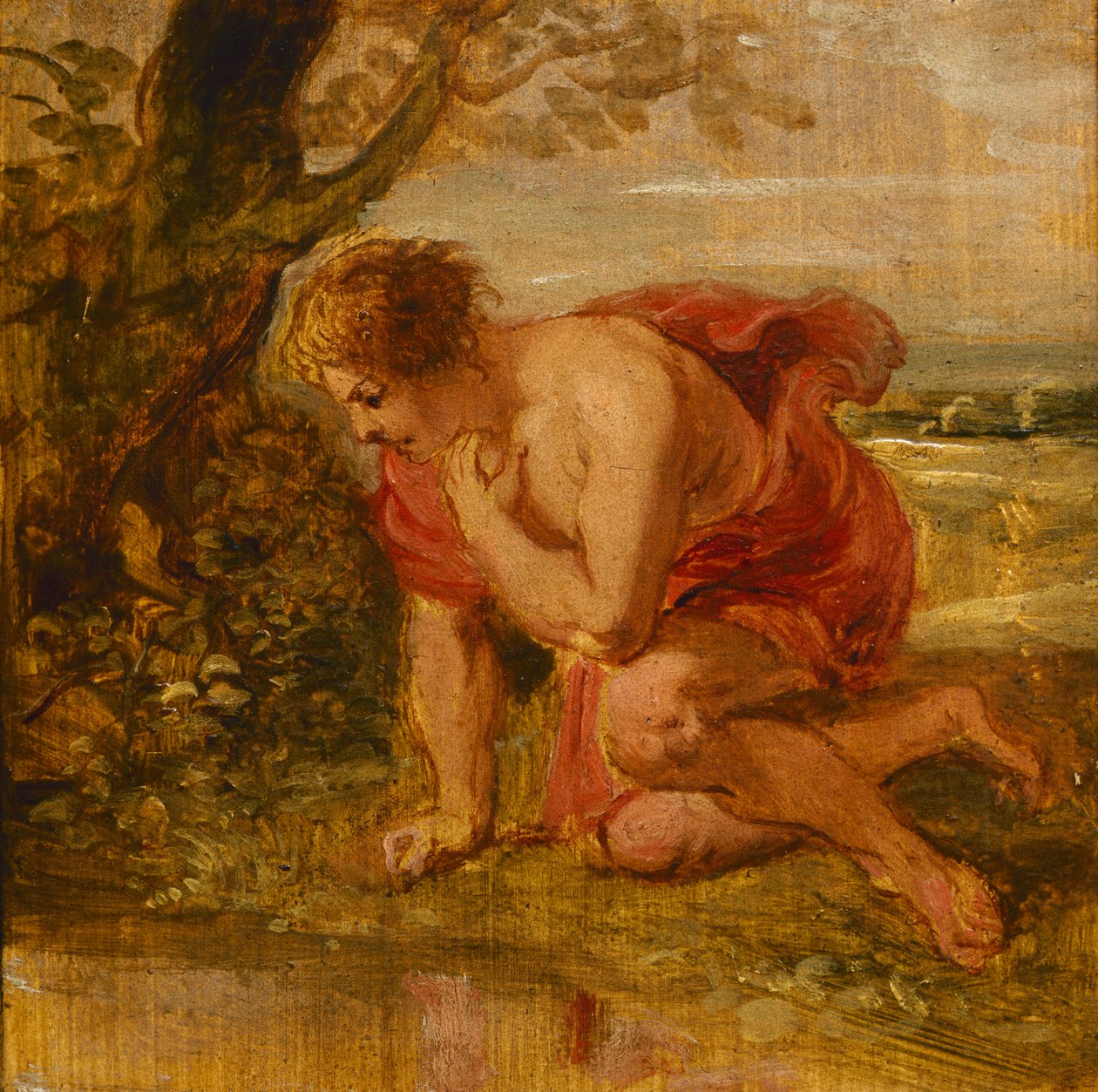 Narciss av Peter Paul Rubens