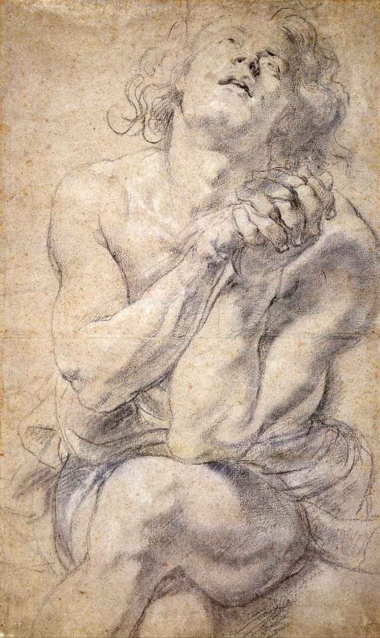 Seated Male Youth (Study for Daniel) av Peter Paul Rubens
