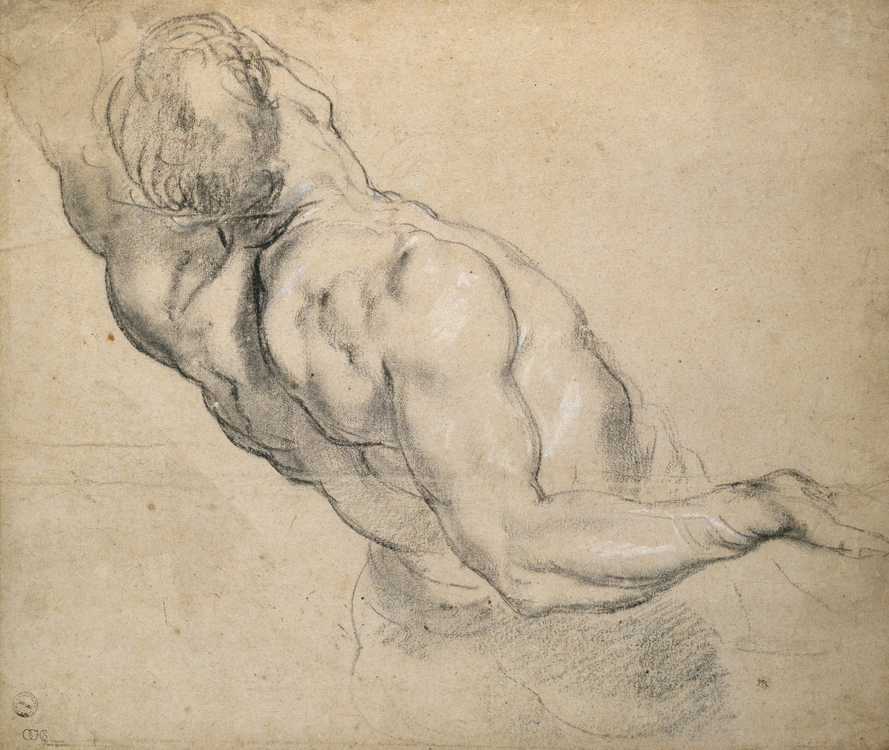 Studie av en naken manlig torso av Peter Paul Rubens