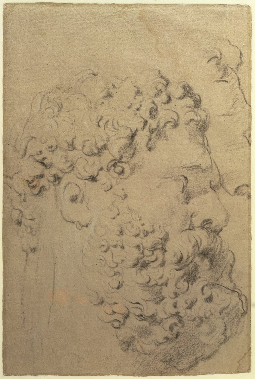 Studier av Farnese Hercules huvud och profil av Glycon, tergo, 1606-08 (svartvit krita på papper) av Peter Paul Rubens
