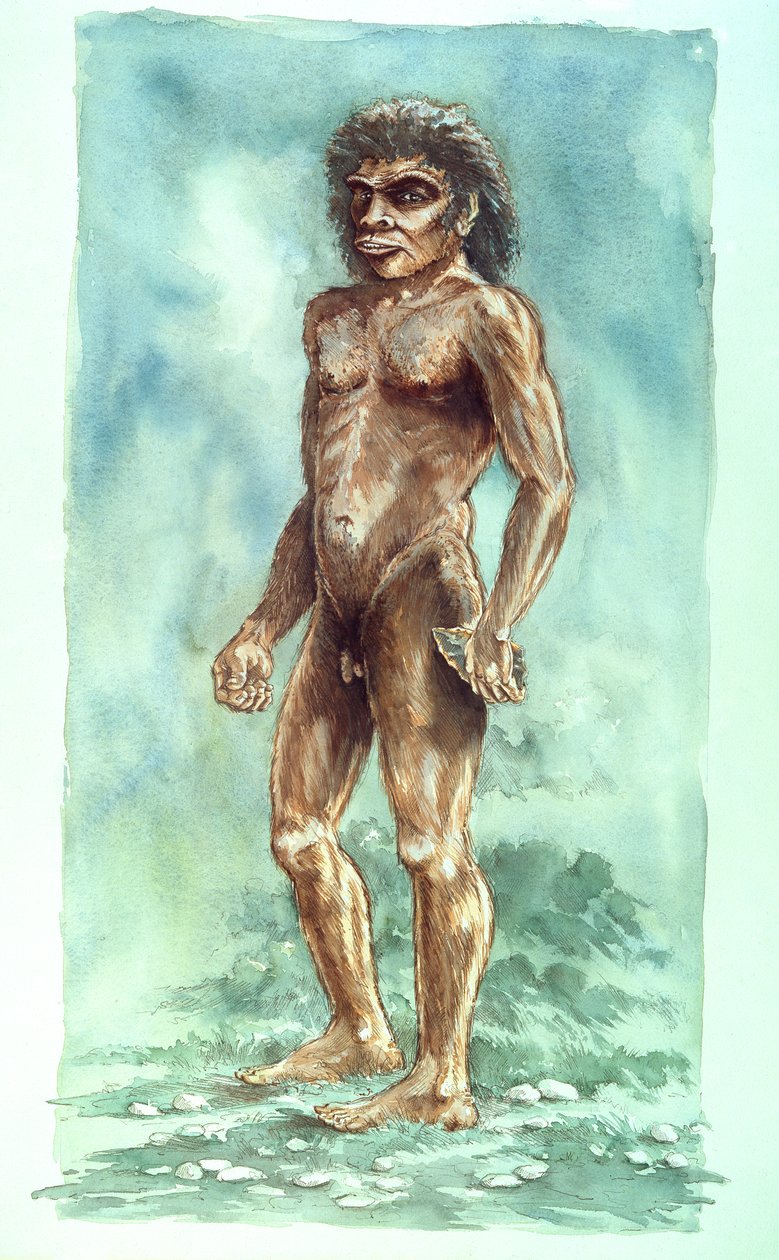 Boxgrove Man, förhistorisk, 1990-2010 av Peter Dunn