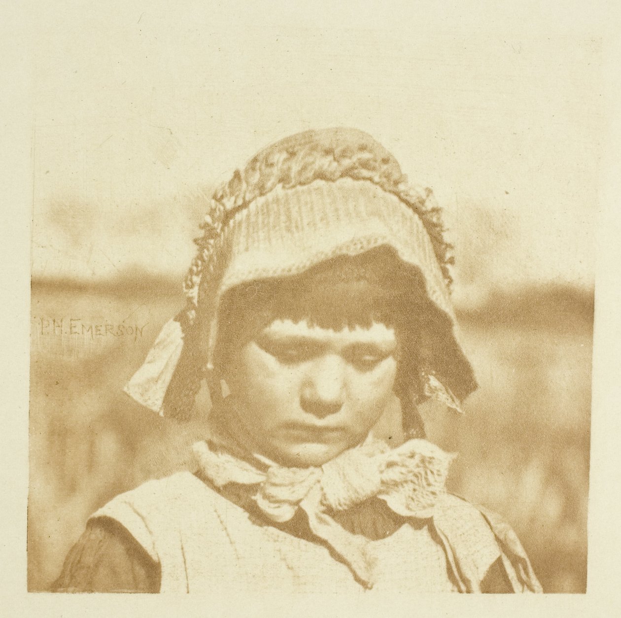 En Norfolk-blomma av Peter Henry Emerson