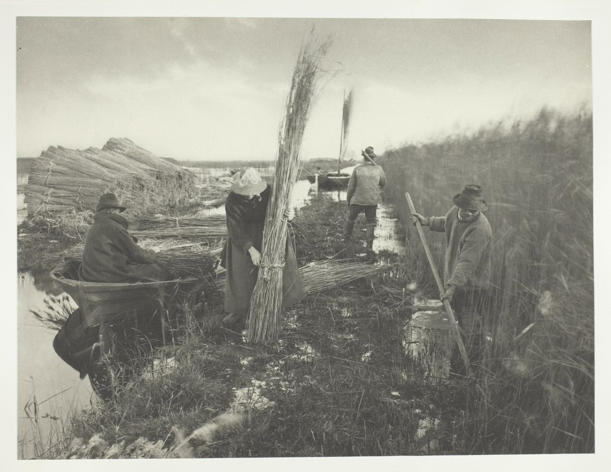 Under skörden av vass av Peter Henry Emerson