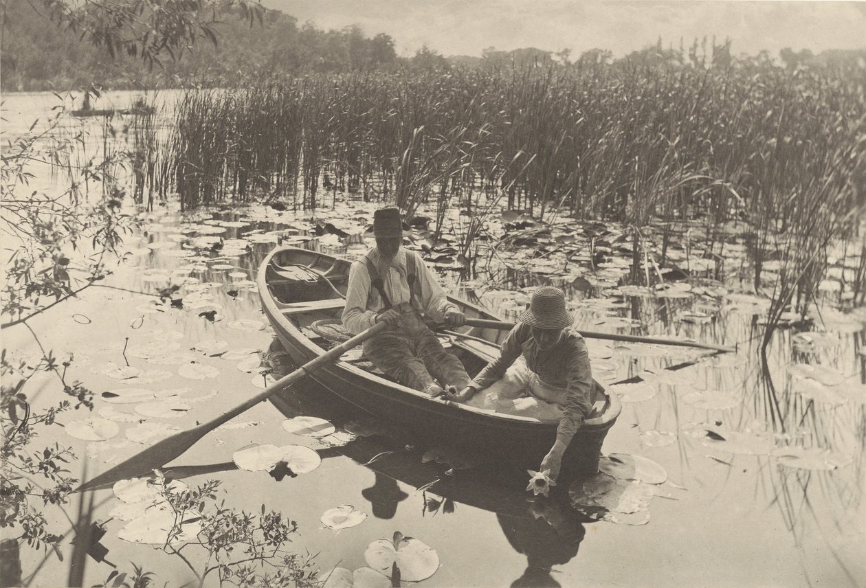 Att samla näckrosor av Peter Henry Emerson