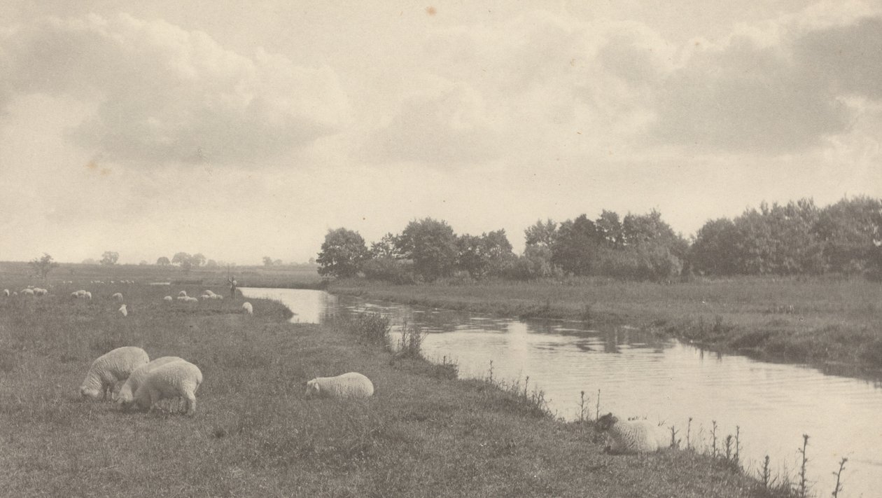 Vid floden Bure av Peter Henry Emerson