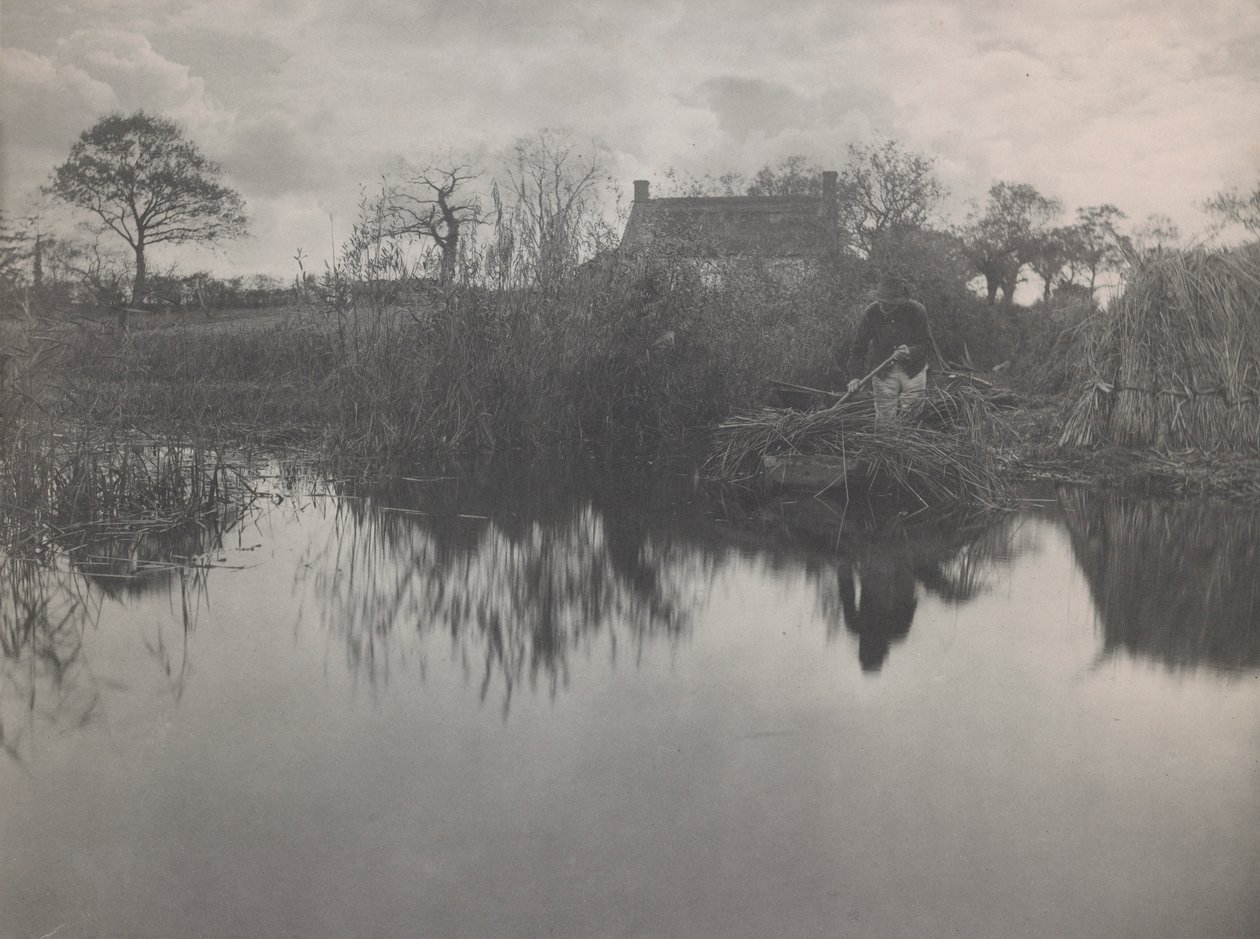 Quanting the Gladdon av Peter Henry Emerson