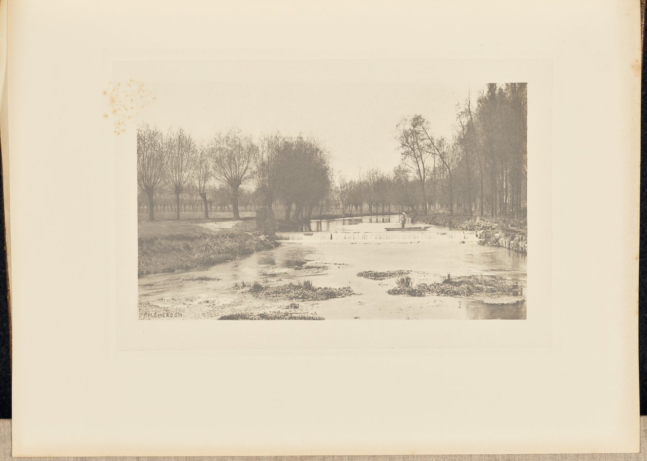 The Shoot, Amwell Magna Fishery av Peter Henry Emerson