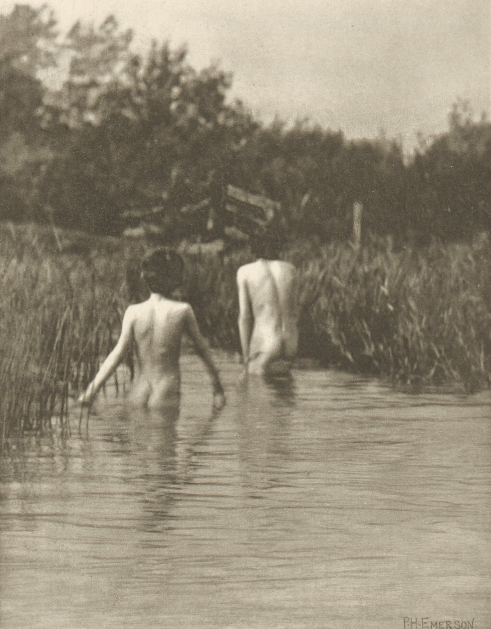 Vatten-bebisar av Peter Henry Emerson