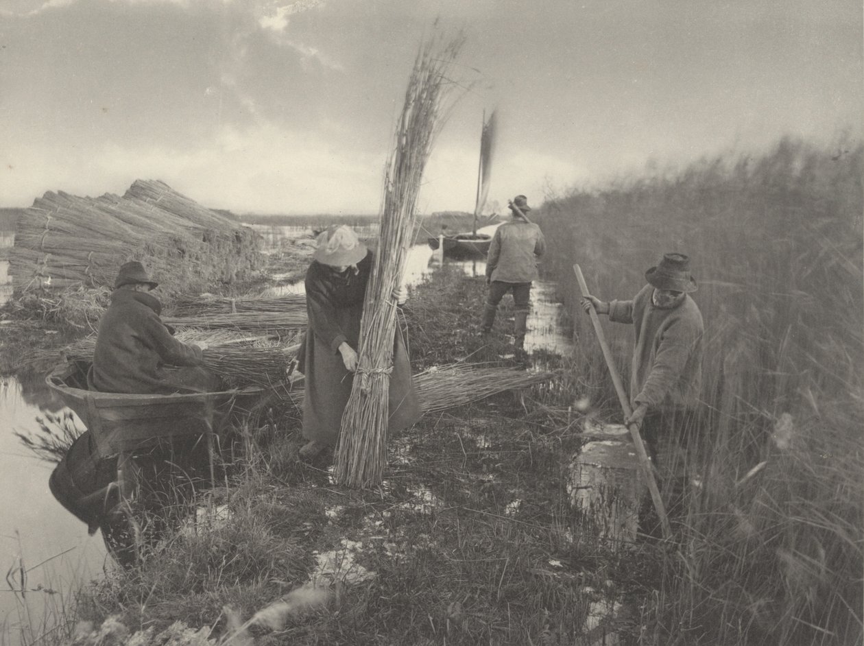 Under vassskörden av Peter Henry Emerson and T.F. Goodall