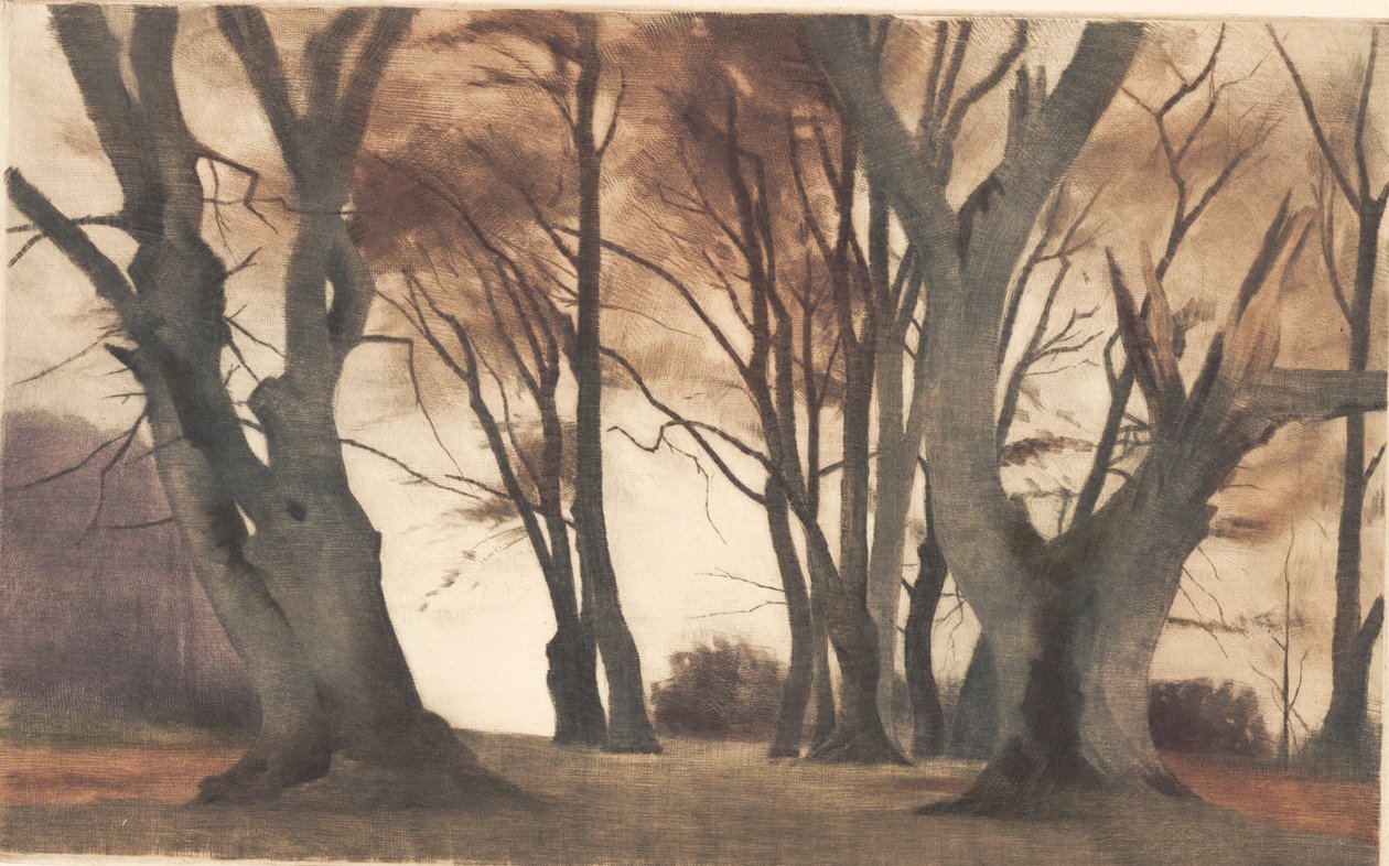 Bokträd i Ermelunden av Peter Vilhelm Ilsted