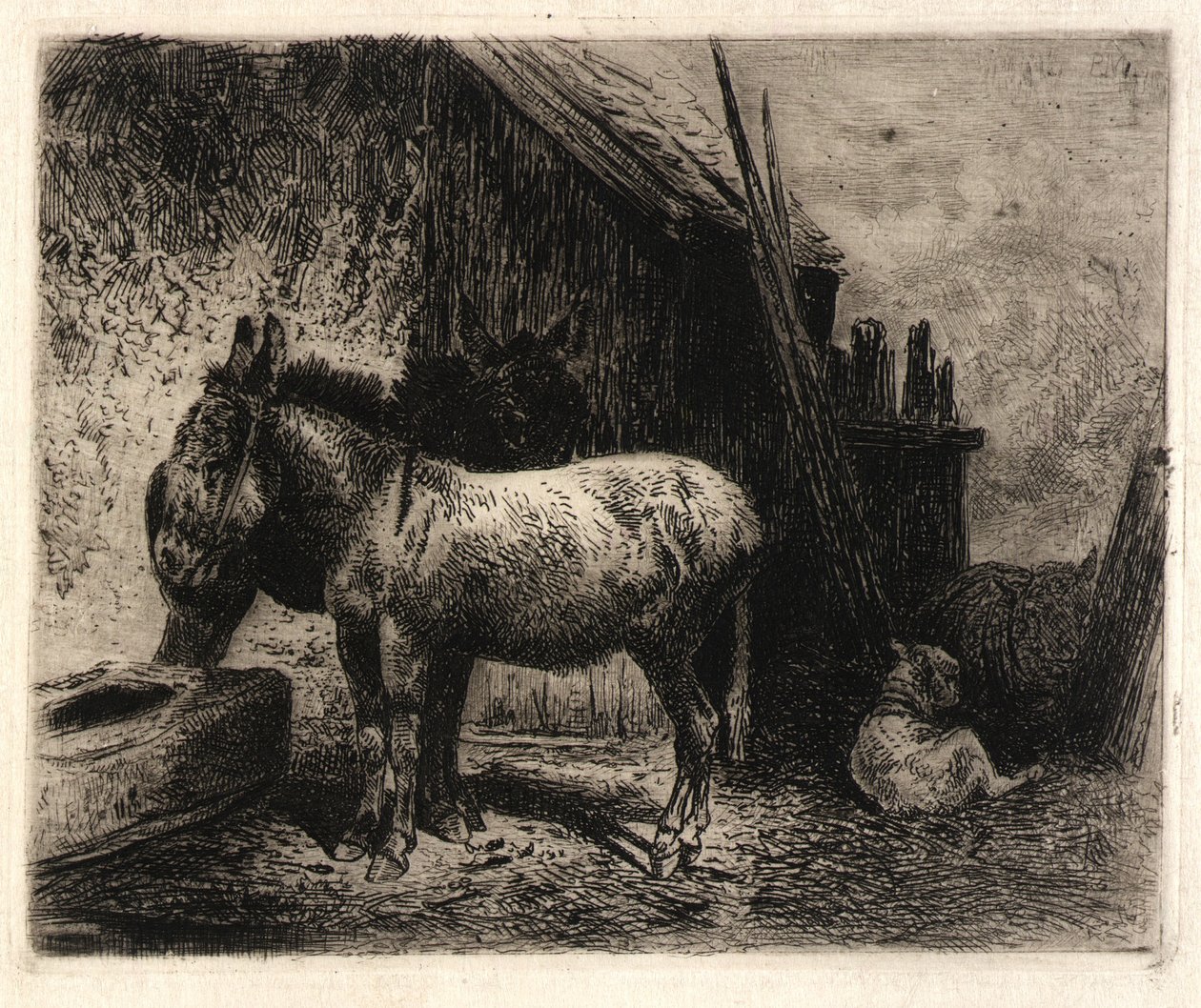 (Åsnor och får) av Peter Moran