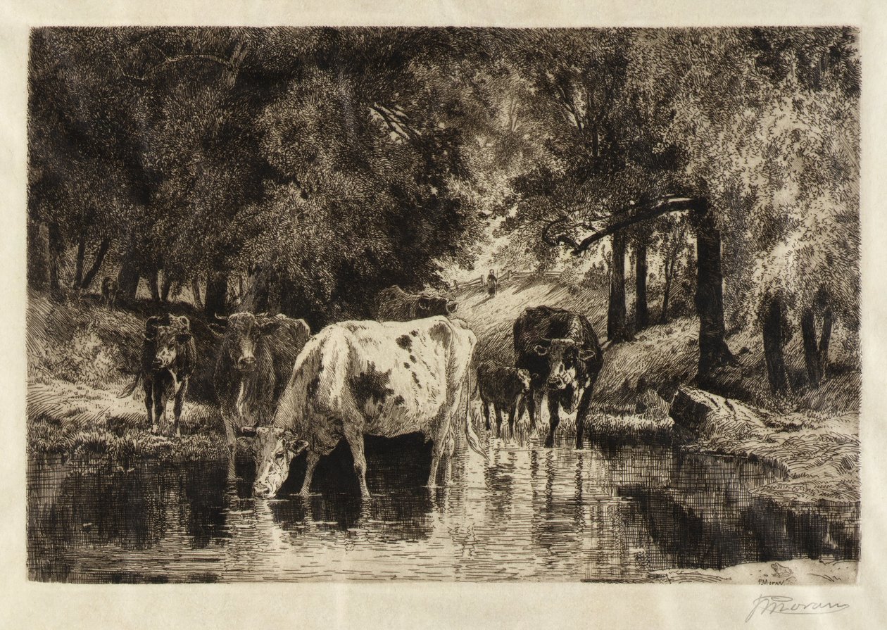 Poolen av Peter Moran