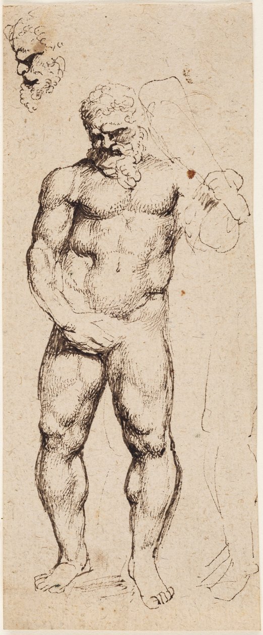 Herkules av Peter Paul Rubens