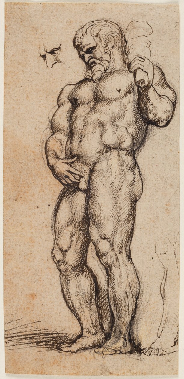 Herkules av Peter Paul Rubens