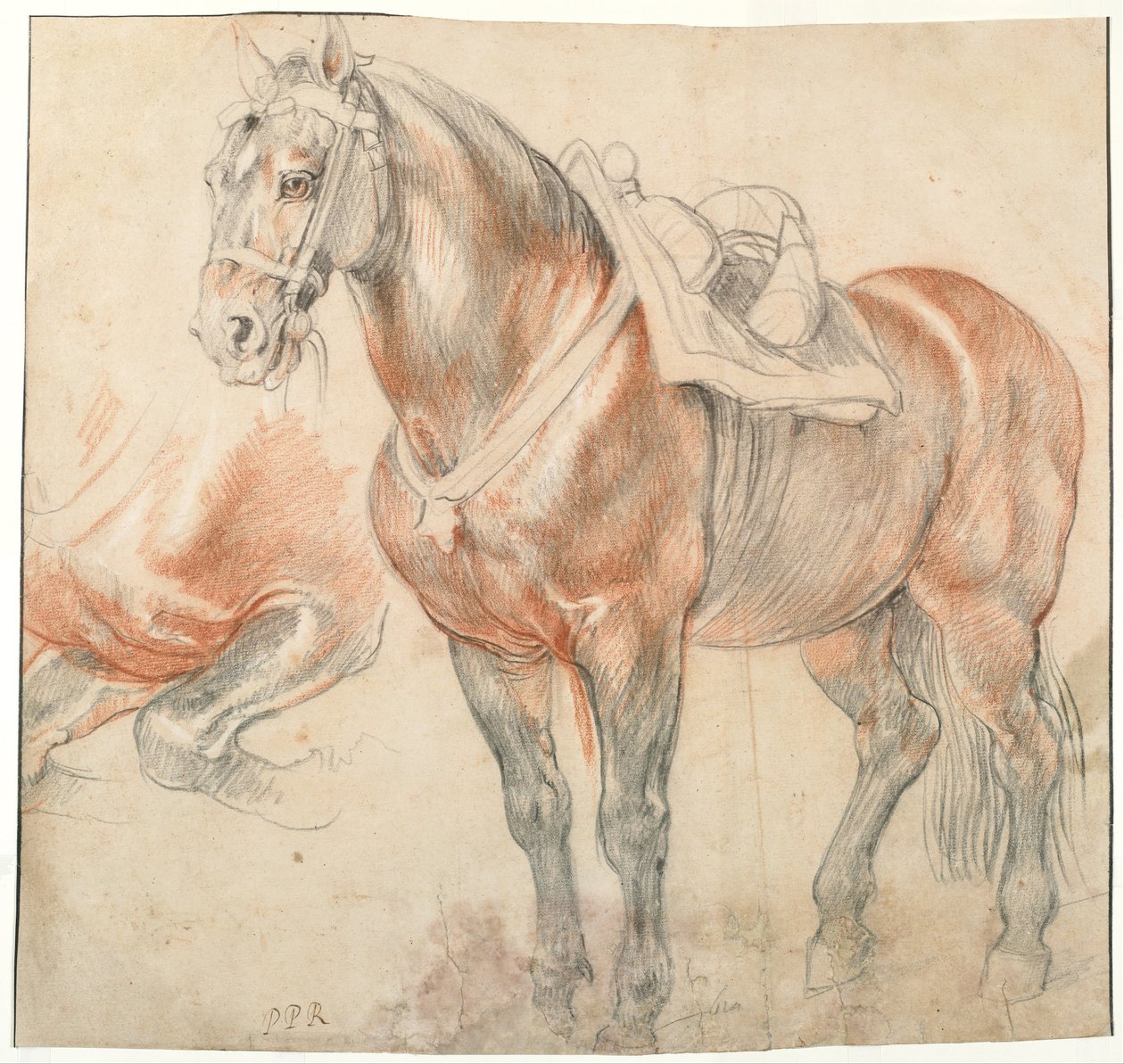 Sadelhäst, ca. 1616-1618 av Peter Paul Rubens