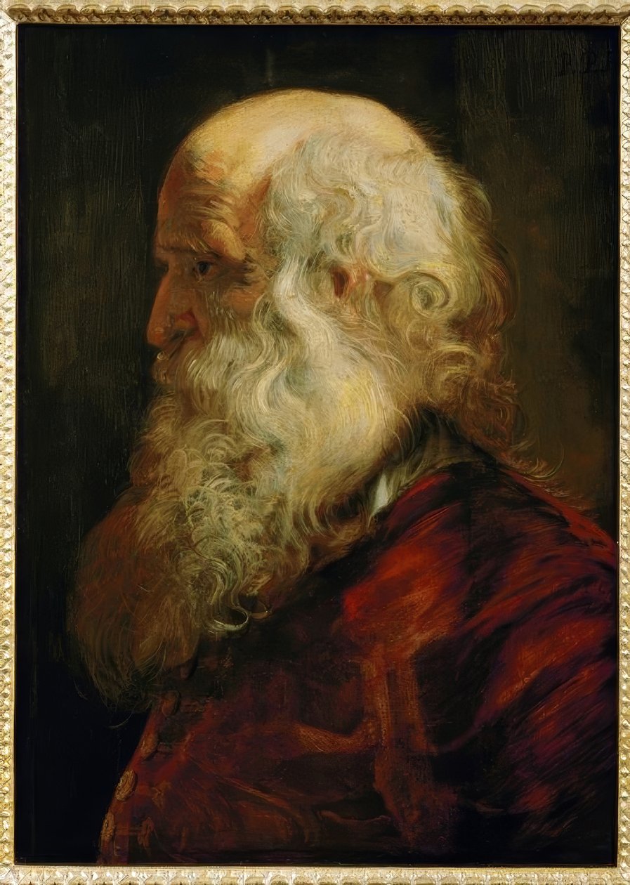 Studiehuvud för en gammal man av Peter Paul Rubens