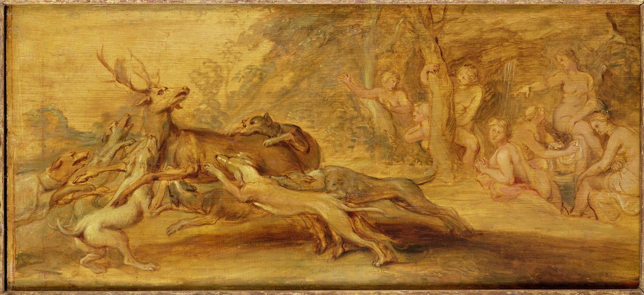 Okänd bild av Peter Paul Rubens
