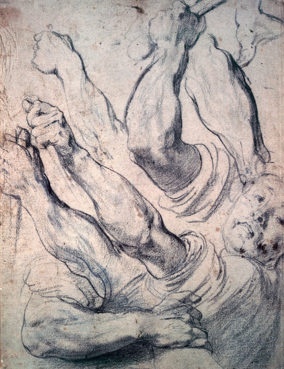 Okänd bild av Peter Paul Rubens