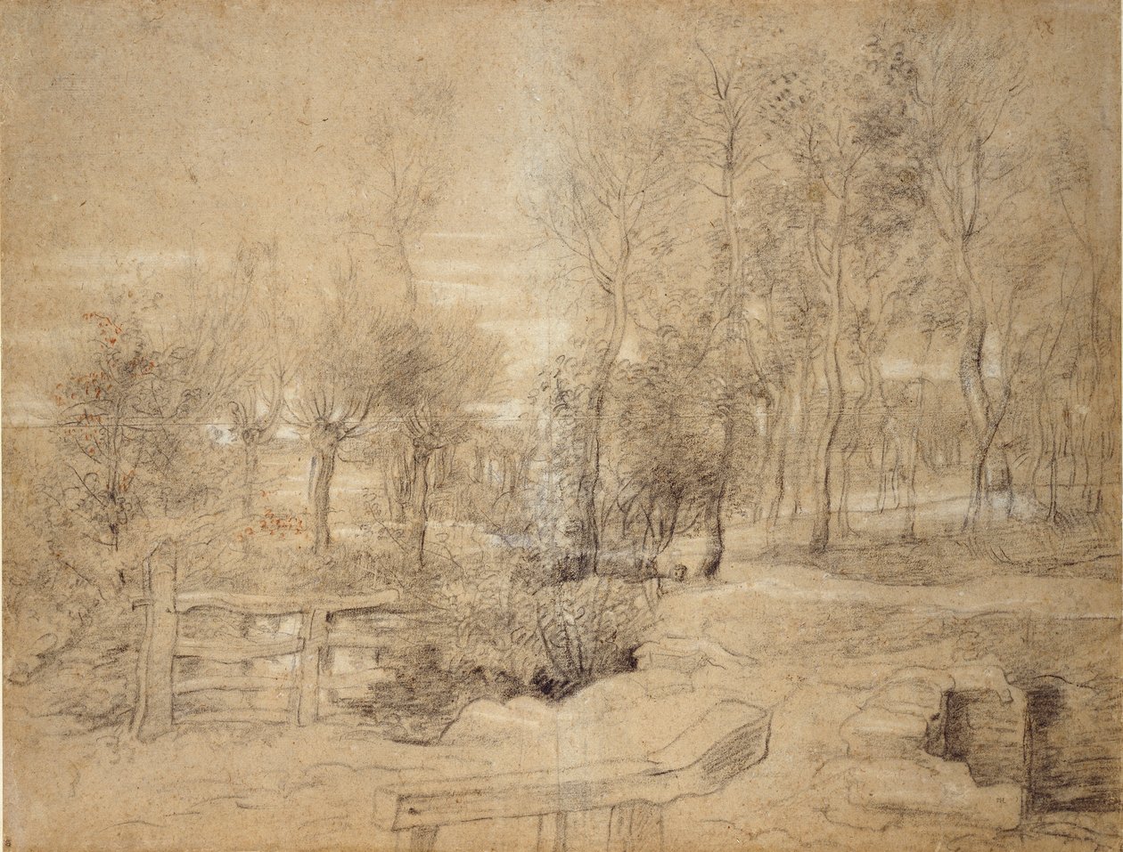 Skogsscen, tidigt 1600-tal av Peter Paul Rubens