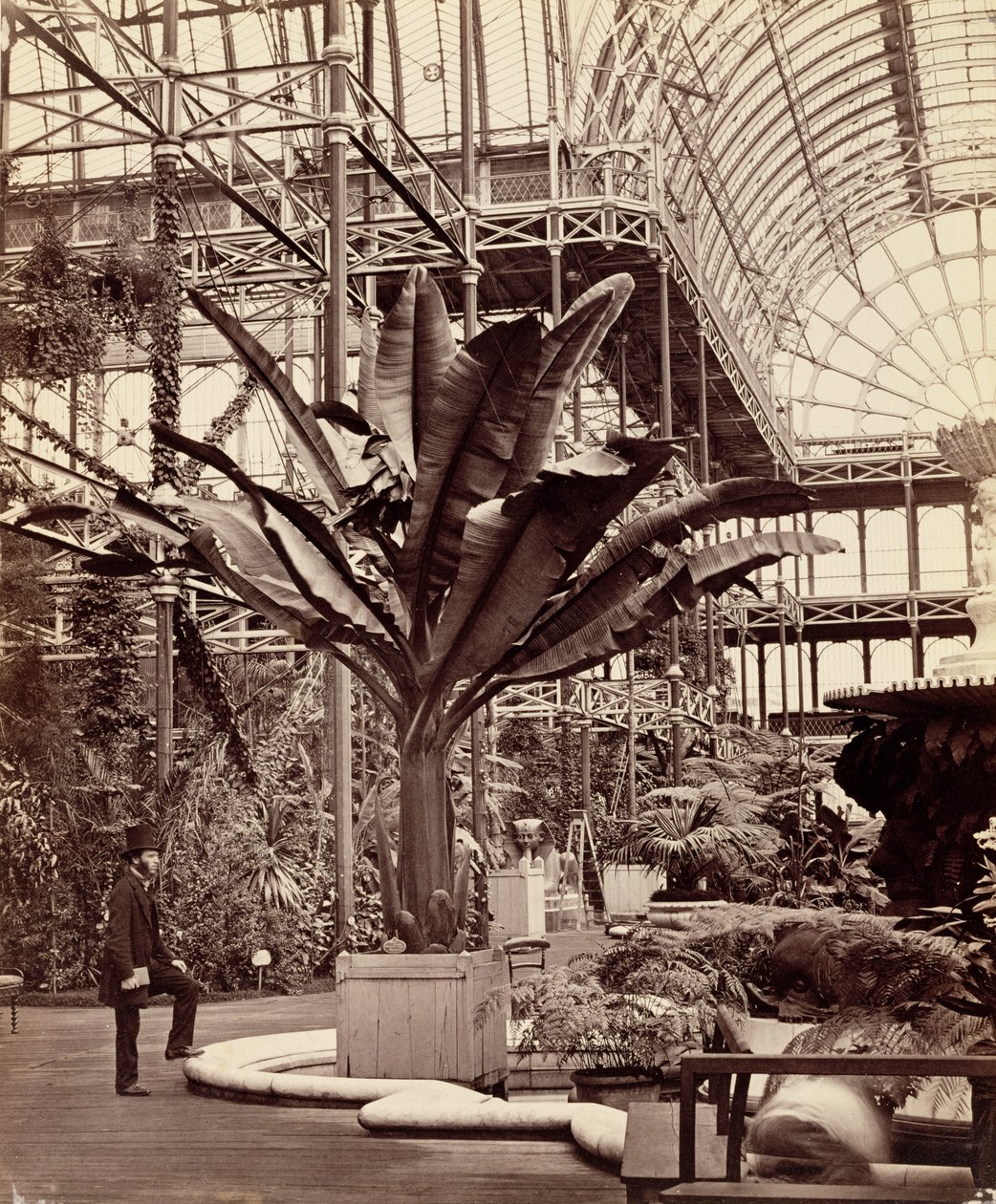 Tropiska växter i det egyptiska rummet, Crystal Palace, Sydenham, 1854 av Philip Henry Delamotte