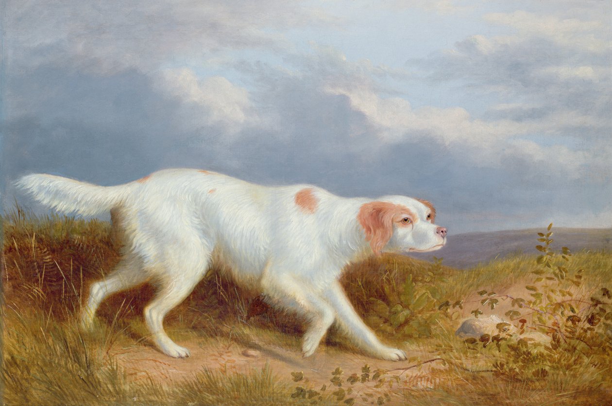 En setter på myren av Philip Reinagle
