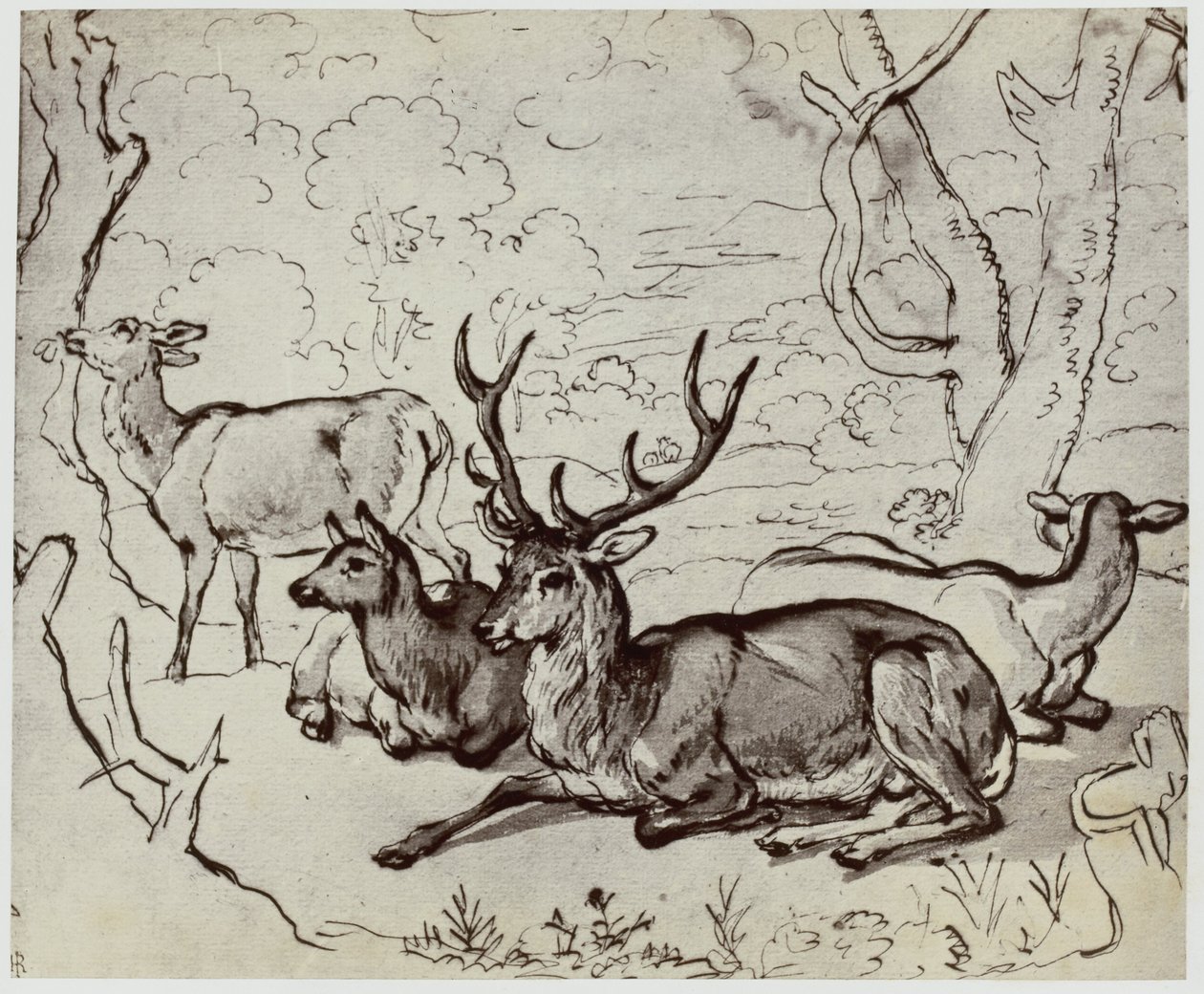 Ridinger, ett rådjur av Philip Henry Delamotte