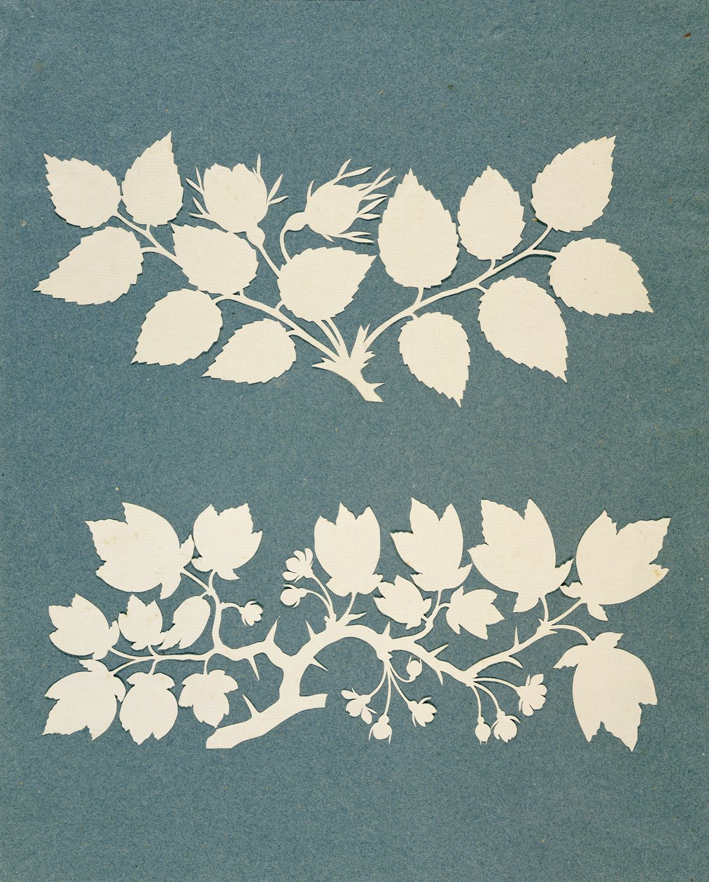 A Rose Branch och Jasmin Branch (collage på papper) av Philipp Otto Runge