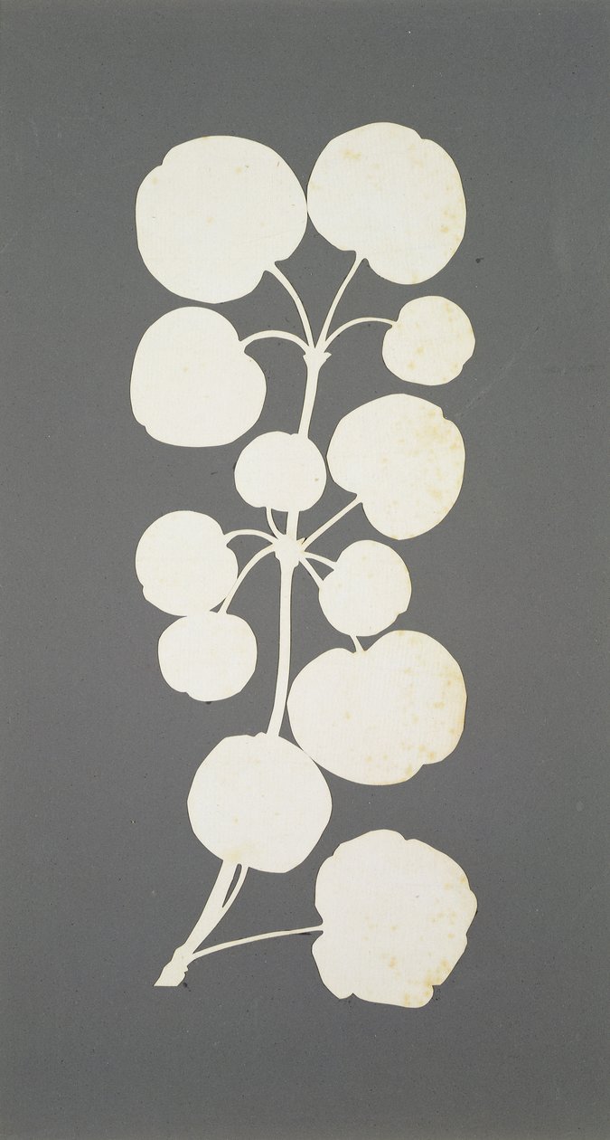 Cayennepeppar (collage på papper) av Philipp Otto Runge