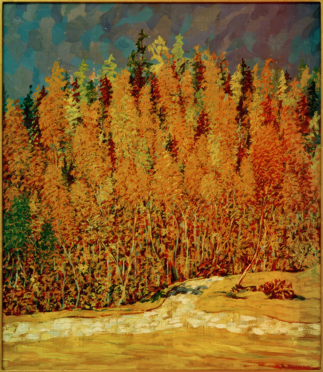 Höstskog av Philipp Bauknecht