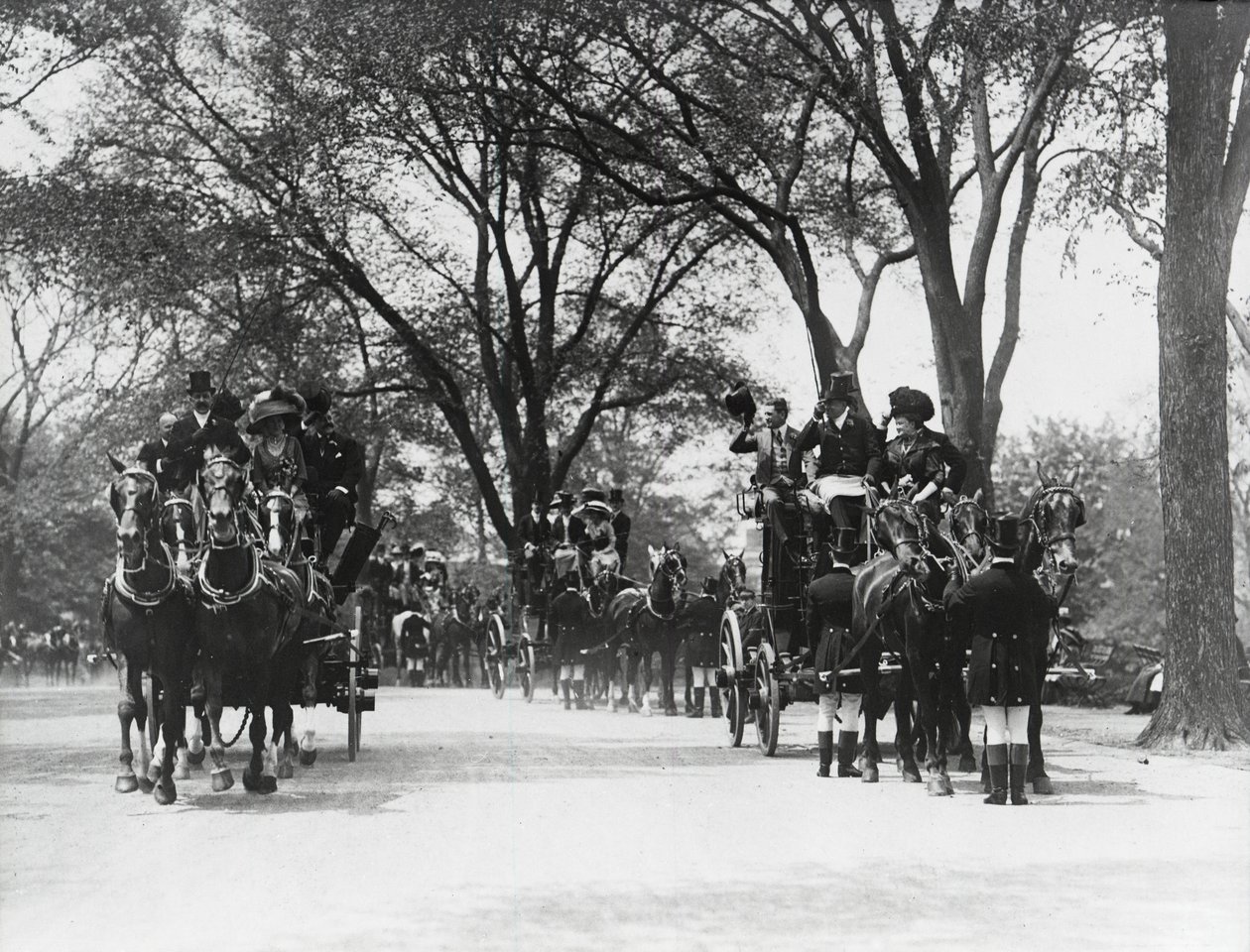 Coaching, Central Park (s/v foto) av Photographer American