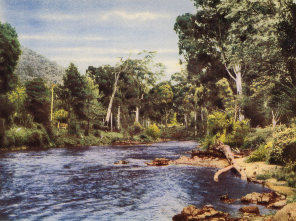 Yarra River (färgfoto) av Photographer Australian