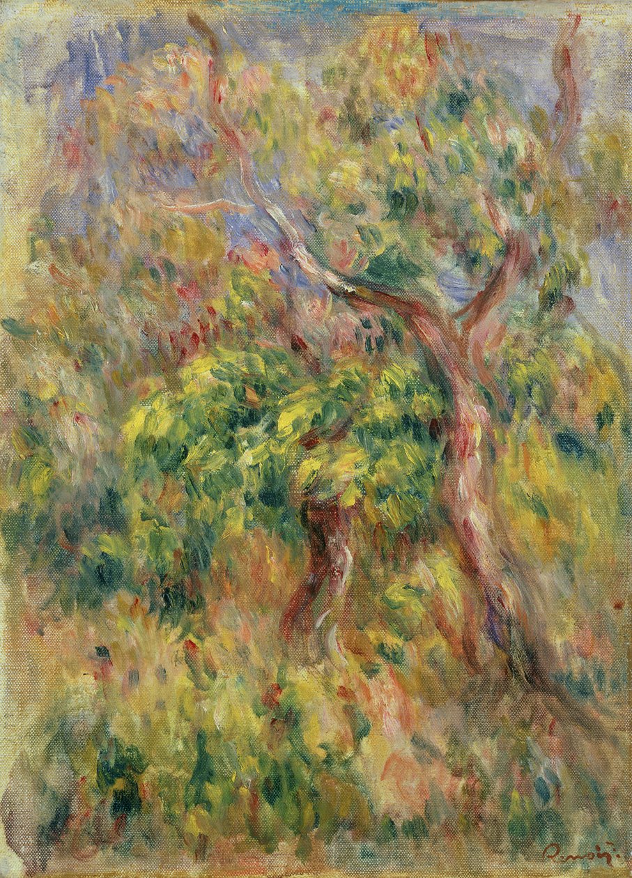 Träd, 1915-16 av Pierre Auguste Renoir