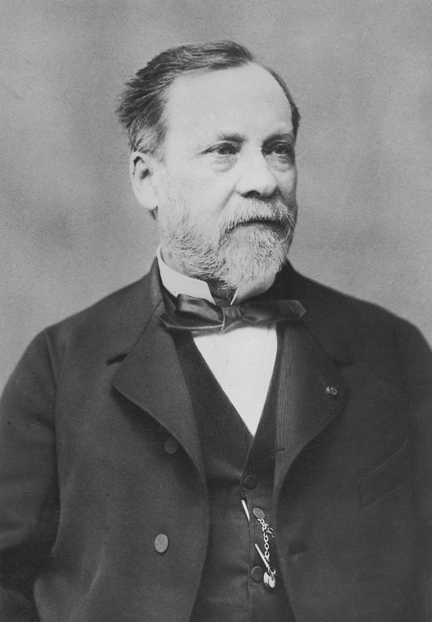 Porträtt av Louis Pasteur av Pierre Petit