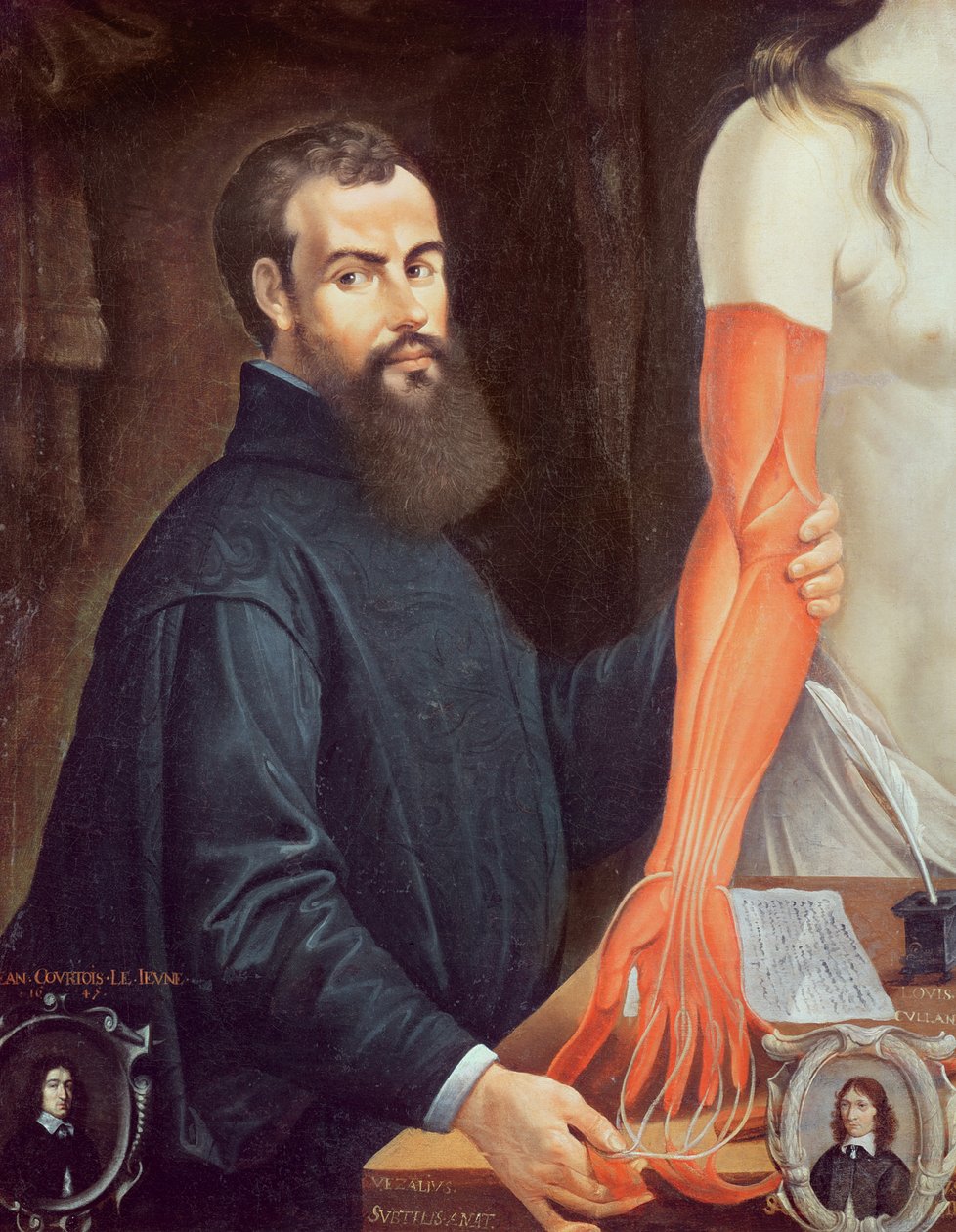 Andreas Vesalius (1514-64) av Pierre Poncet