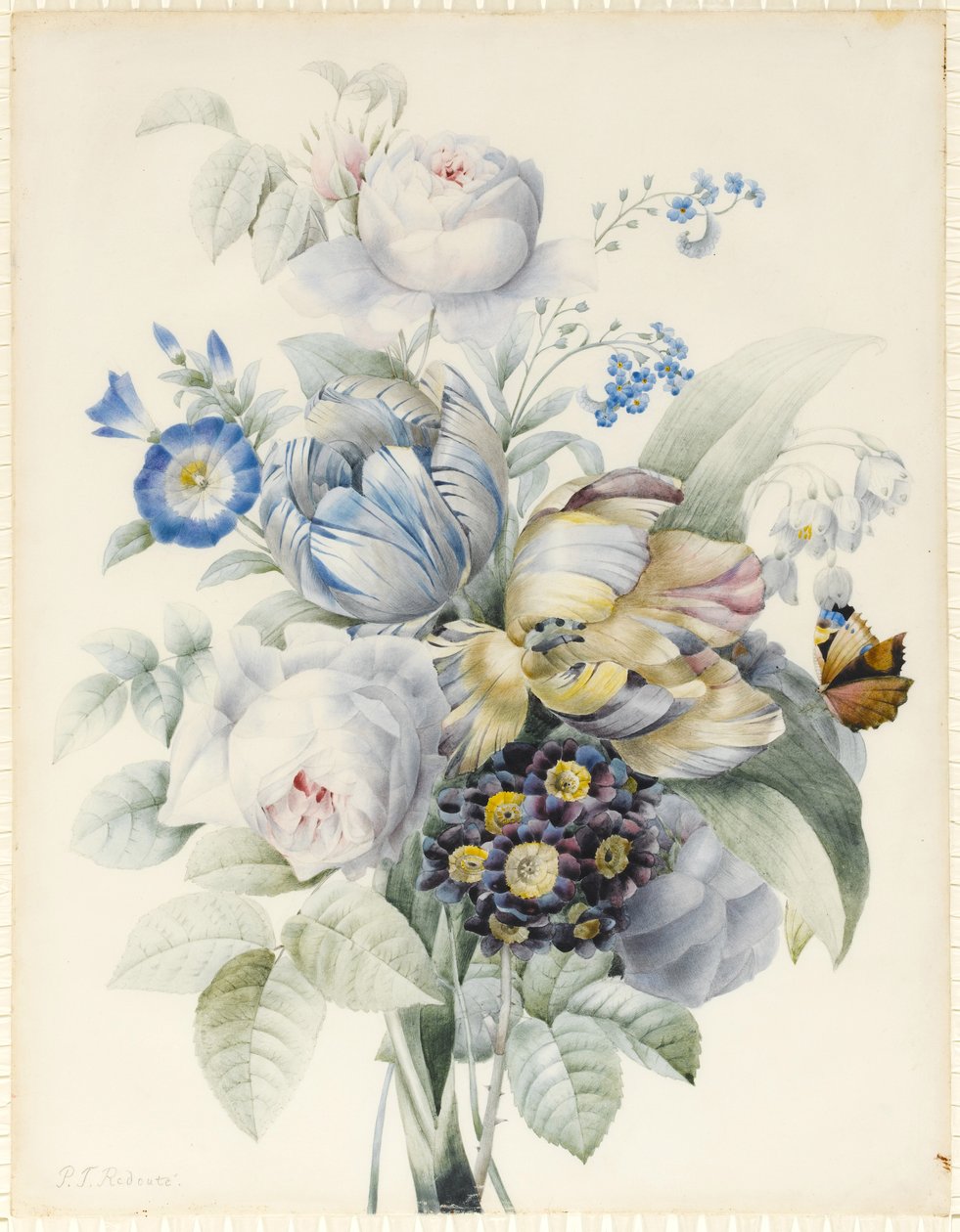 Ett knippe blommor inklusive rosor, papegojtulpaner, Förgätmigej, Snöflingor, Auricula och Ipomoea med en imaginär fjäril (grafit och wc med gum Arabic och kroppsfärg över grafit på veläng) av Pierre Joseph Redouté