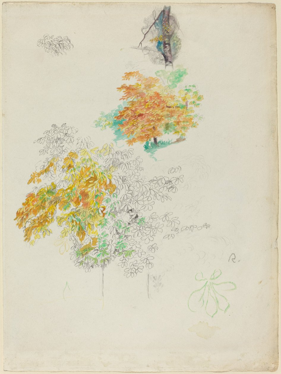 Studier av träd, 1886. av Pierre Auguste Renoir