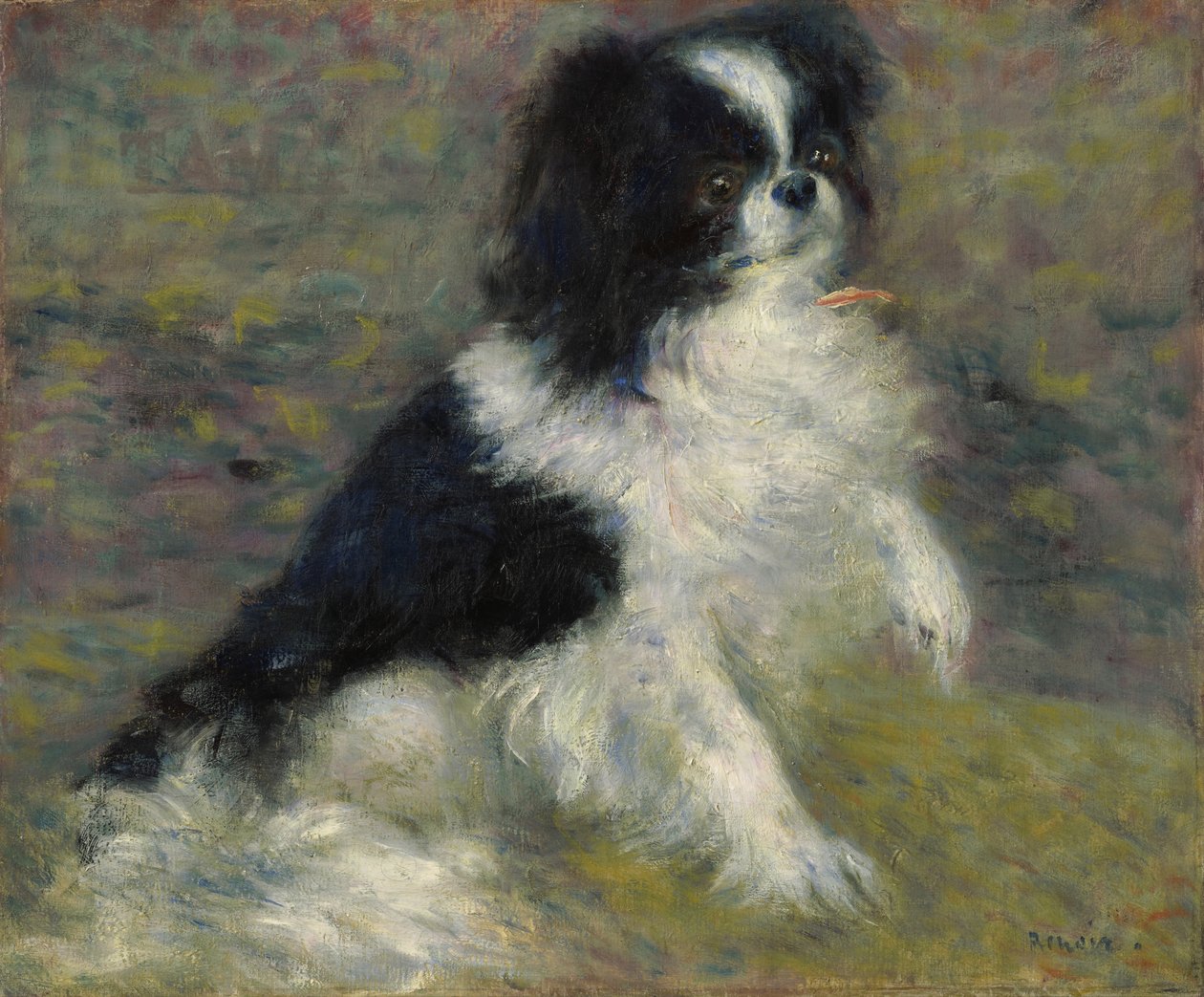 Tama, den japanska hunden, ca 1876 av Pierre Auguste Renoir