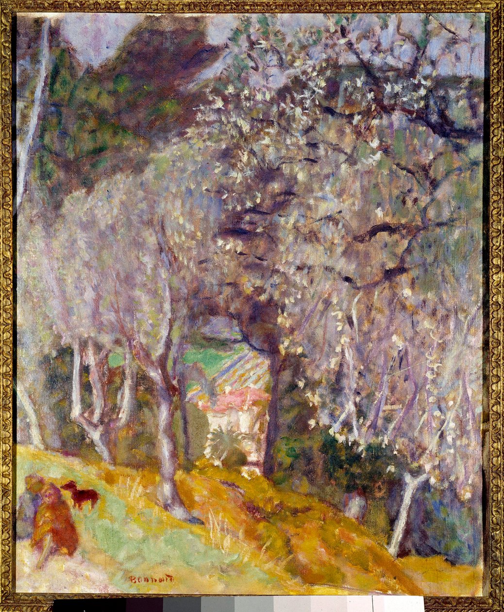 Hus i Oliverna av Pierre Bonnard