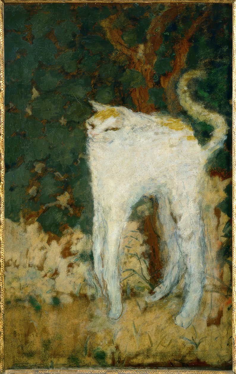 Den vita katten av Pierre Bonnard