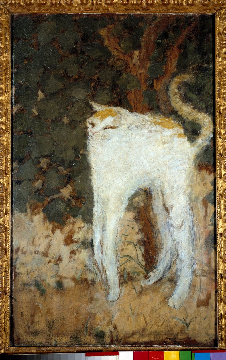 Den vita katten av Pierre Bonnard