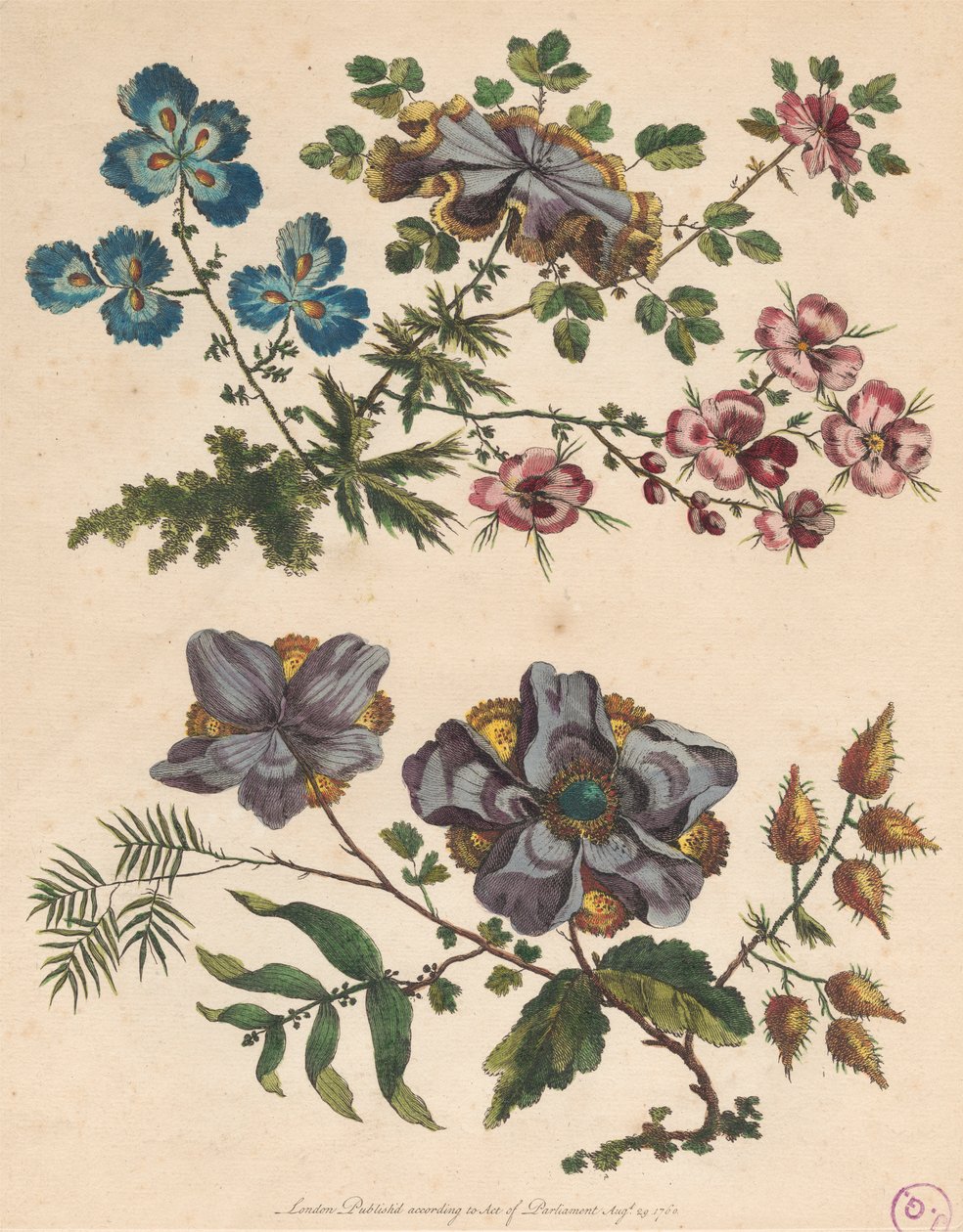 Två sprayer av imaginära blommor av Pierre Charles Canot