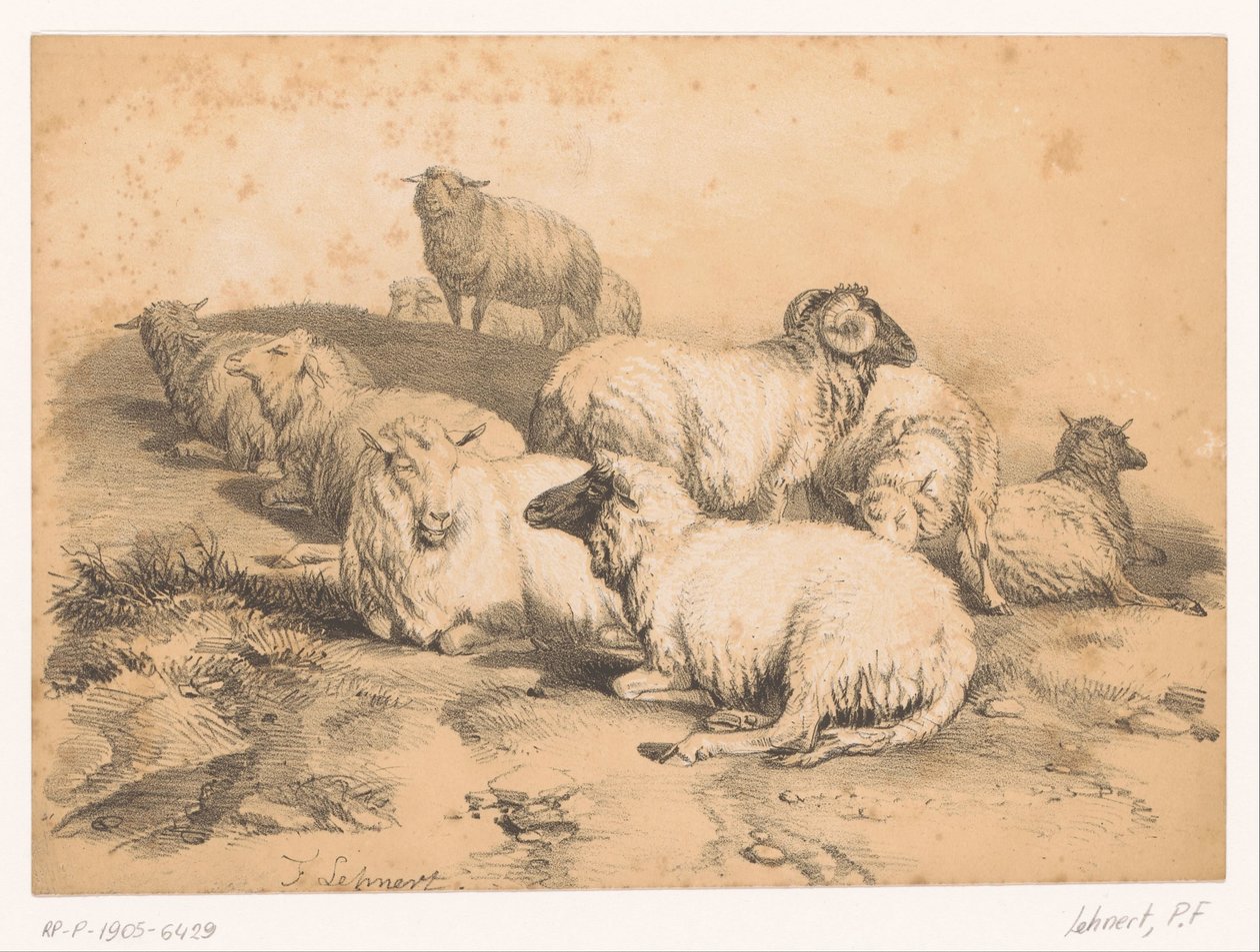 Flock får av Pierre Frédéric Lehnert