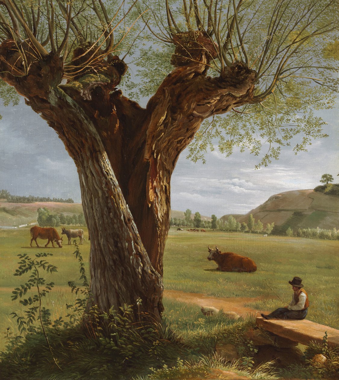 Pollard Willow, efter 1804. av Pierre Jean Boquet