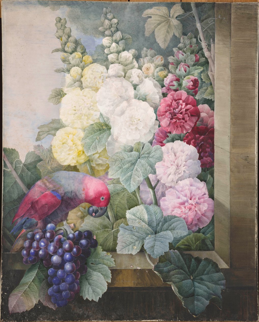 Stokrosor, vindruvor och en papegoja, 1836. av Pierre Joseph Redouté
