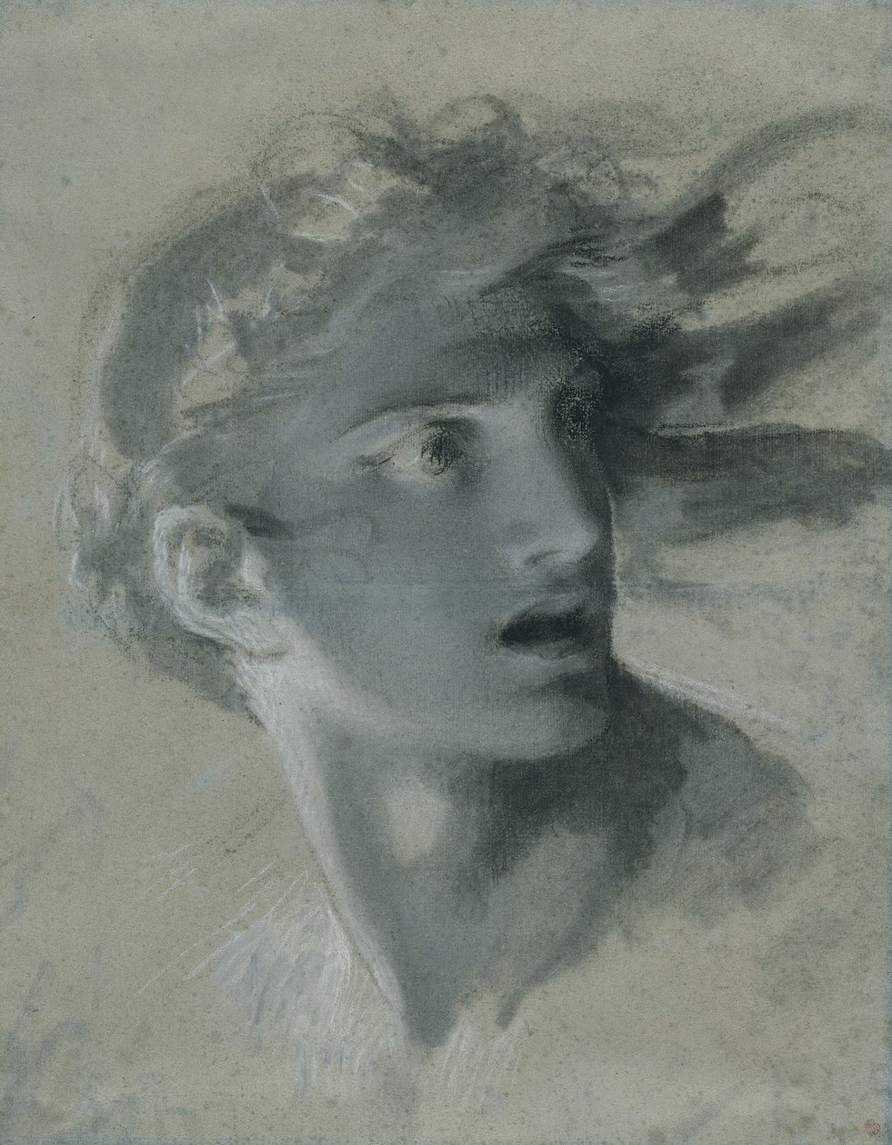 Head of Vengeance, c.1804 av Pierre Paul Prudhon