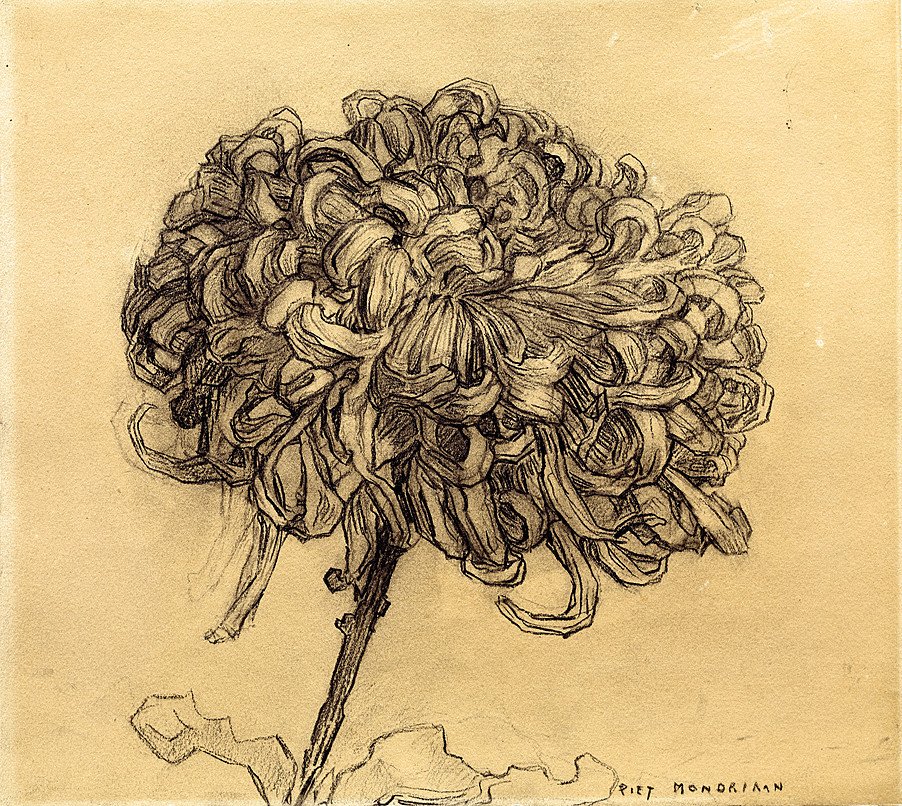 Chrysanthemum  av Piet Mondrian